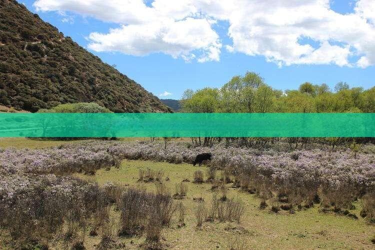 探索海南万宁市：必去的热门景点与不可错过的体验