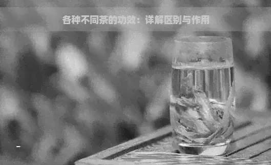 各种不同茶的功效：详解区别与作用
