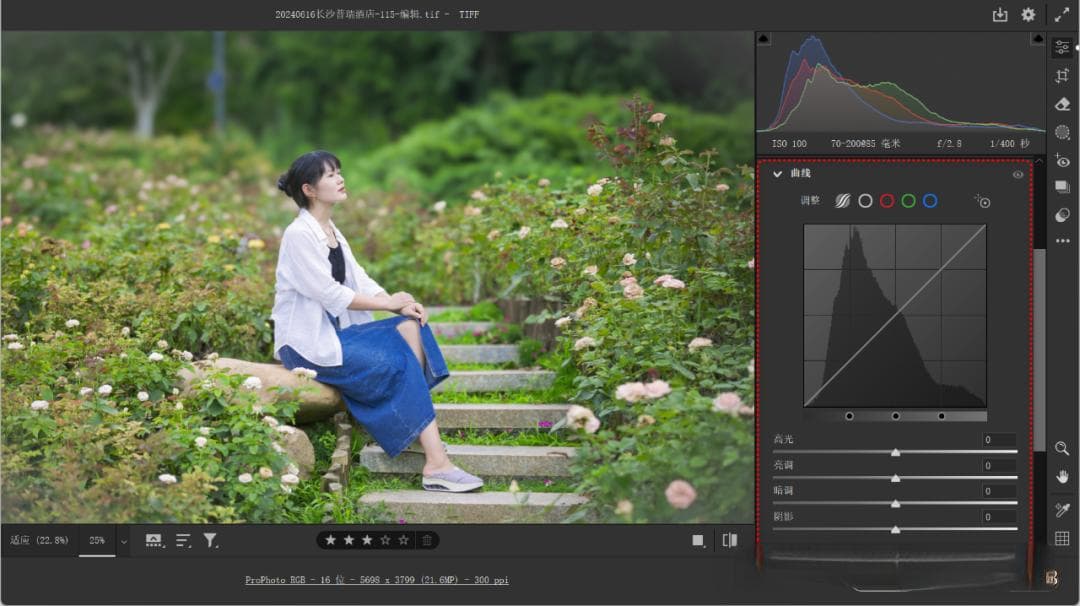 Camera Raw曲线编辑功能详解：参数曲线与点曲线使用指南