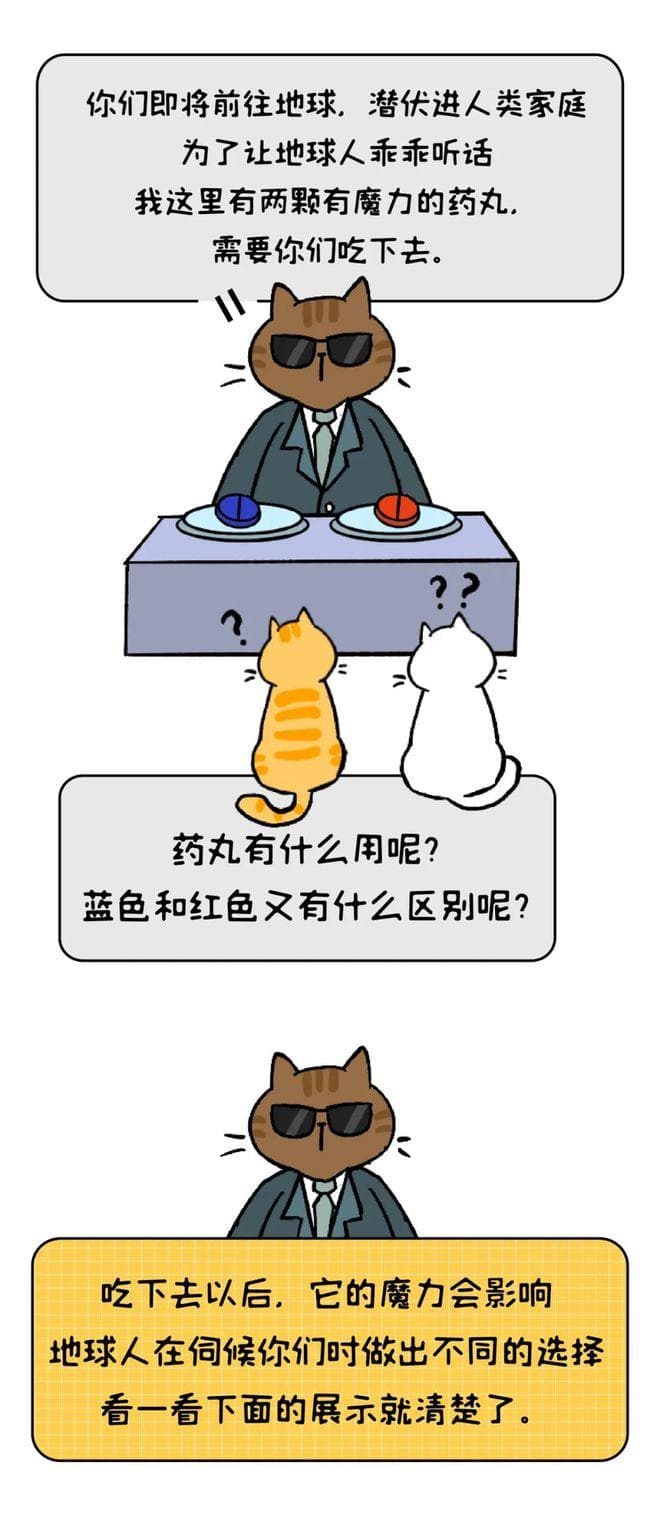 7个科学养护习惯，让猫咪更健康长寿