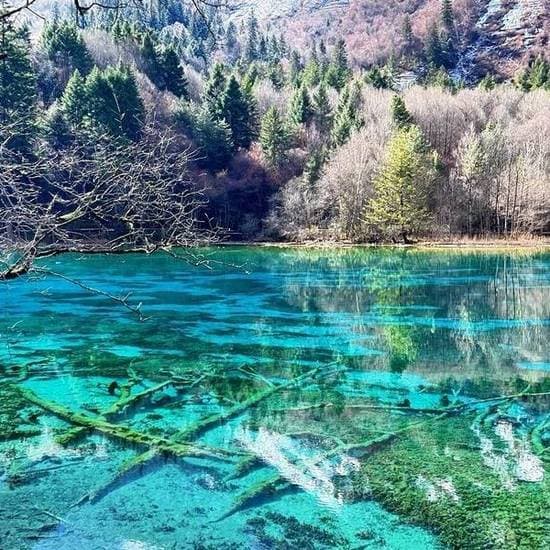 去四川旅游的最佳时间是什么时候？成都四季旅游攻略
