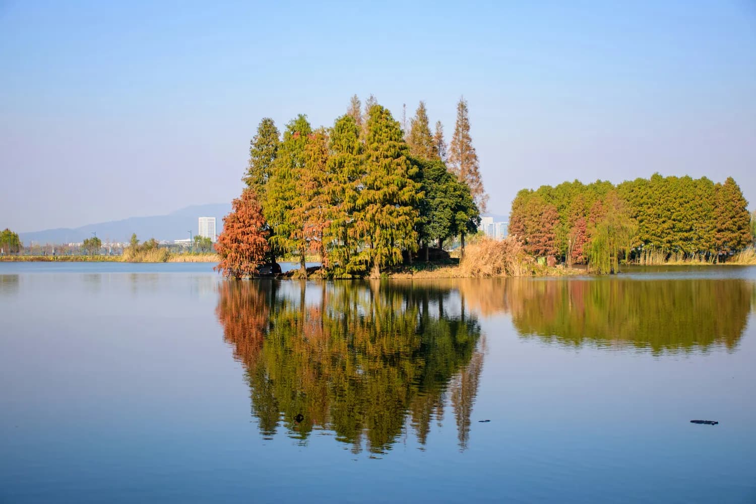 西昌秋游攻略：邛海湿地公园必打卡！