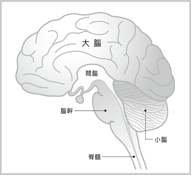 脑瘤：从成因、症状到治疗的全面解析