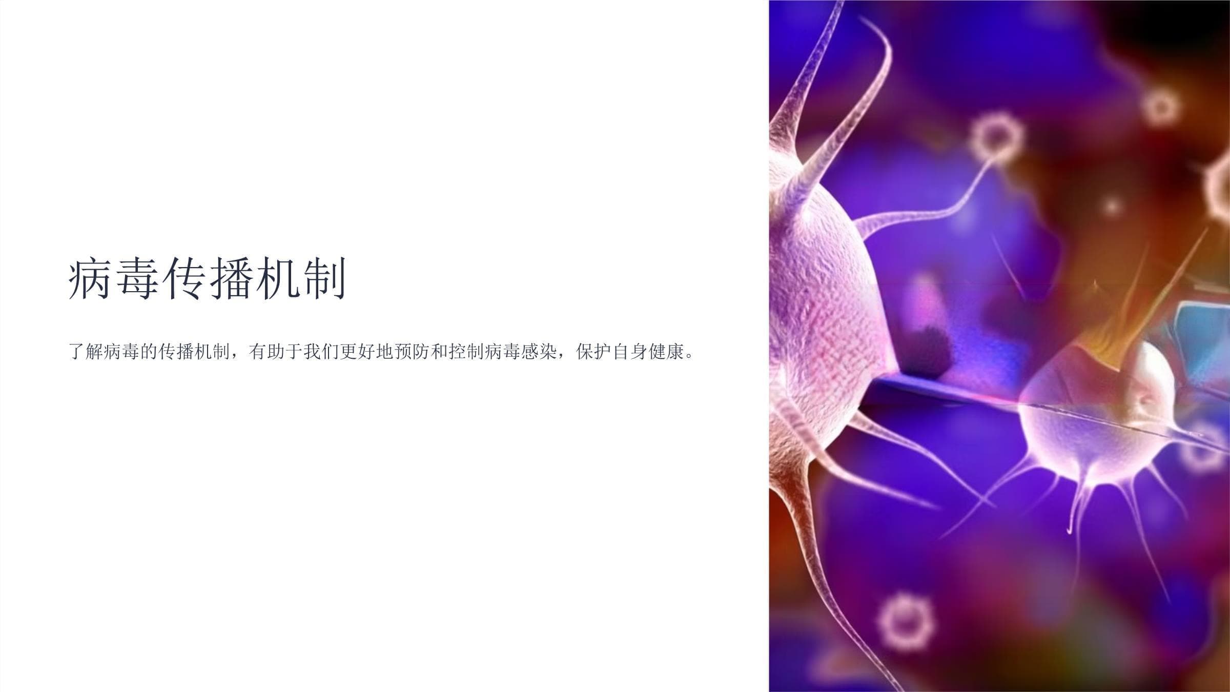 病毒传播机制：从基本特征到全球防控