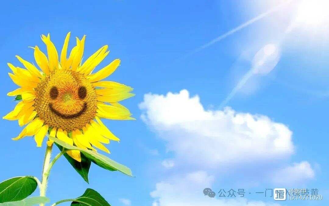 生姜的两种经典搭配：姜枣茶和姜糖水