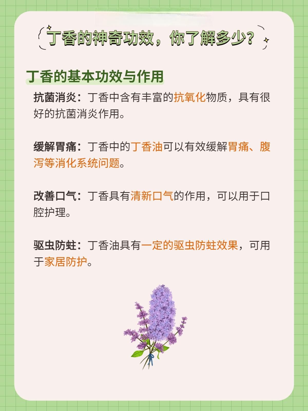 丁香的神奇功效，你了解多少？