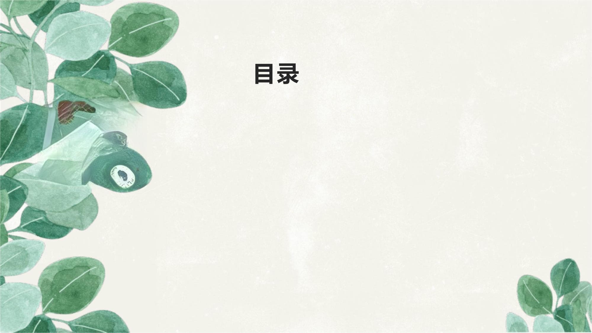 地板选择指南