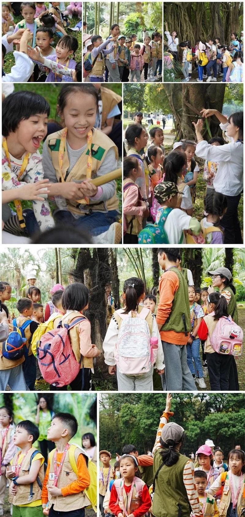 华南植物园开展“密林探险之旅”科普教学活动