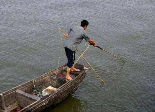 从1600万到7万：非法电鱼屡禁不止，生态破坏无法逆转