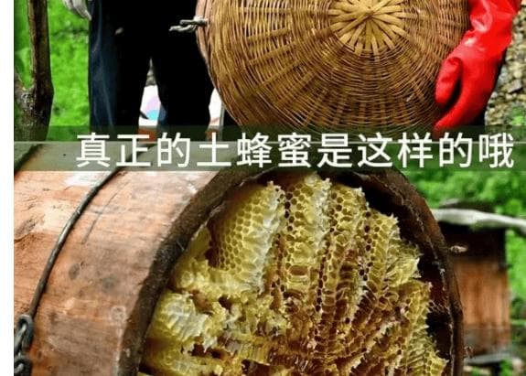 蜂蜜喝多了有什么坏处？吃蜂蜜有什么好处和坏处？