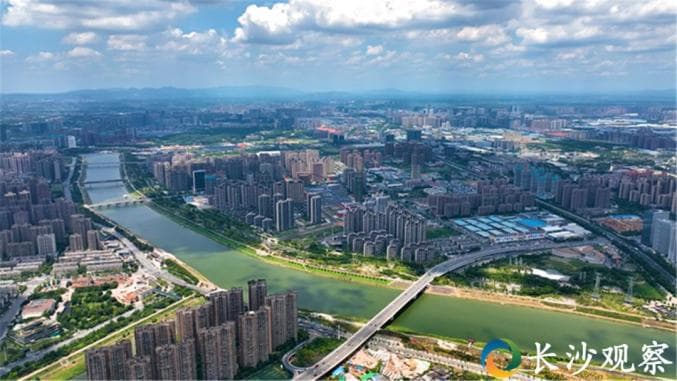 特稿丨向全国推介！“隆平芯谷”这样发展新质生产力