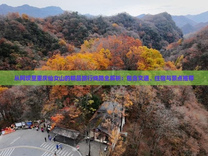 从阿坝至重庆仙女山的精品旅行线路全解析：包含交通、住宿与景点推荐