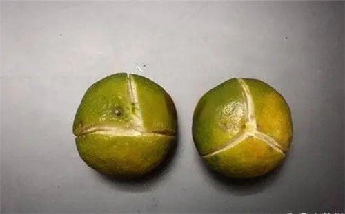 橘子皮怎么做陈皮？步骤是什么？