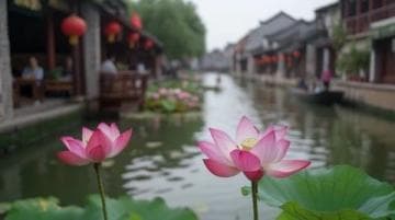 同里古镇深度游攻略：探秘江南水乡之美 | 门票、交通、美食与住宿全揭秘