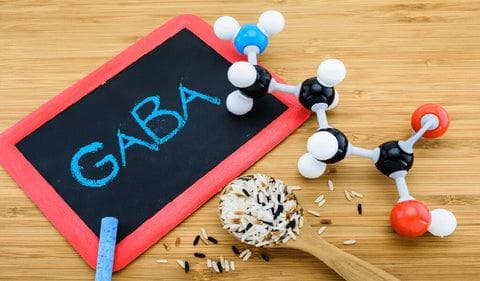 全面解讀GABA：健康益處與日本最佳GABA商品推薦
