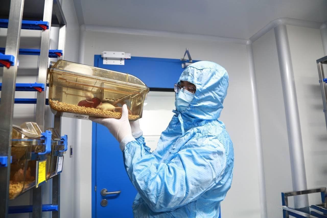 详细探讨几种常见的实验动物房消毒方式