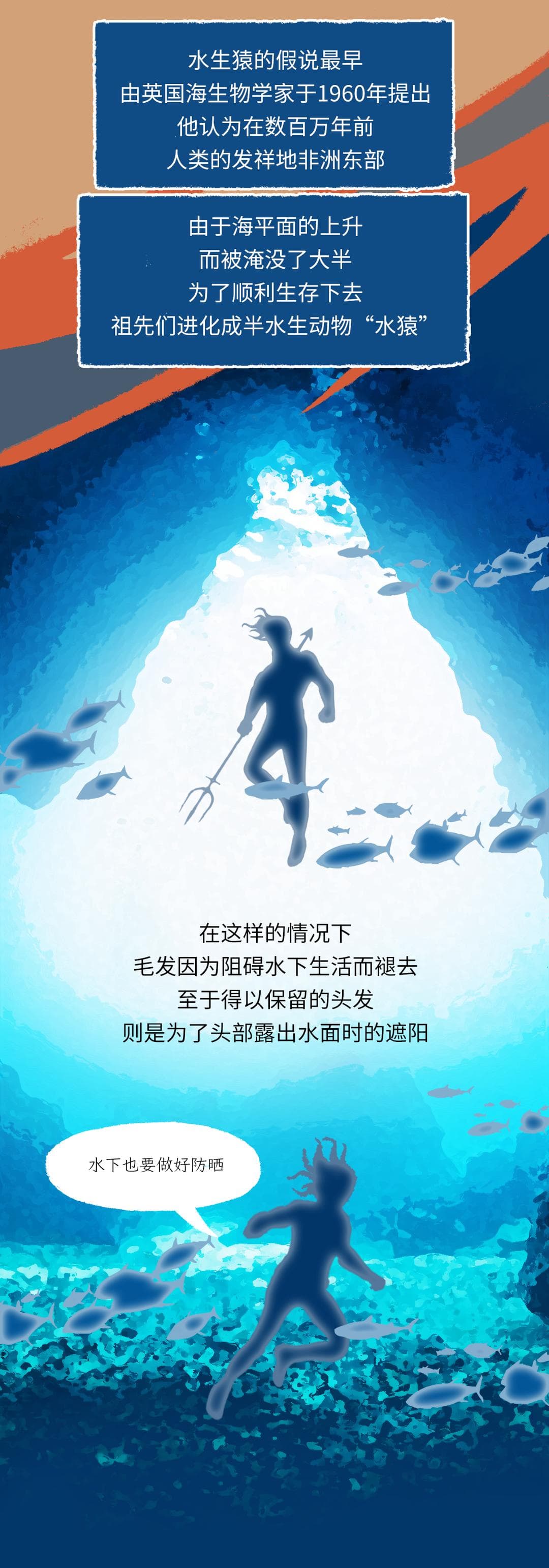 为什么在进化过程中，人类褪掉了大部分的体毛？