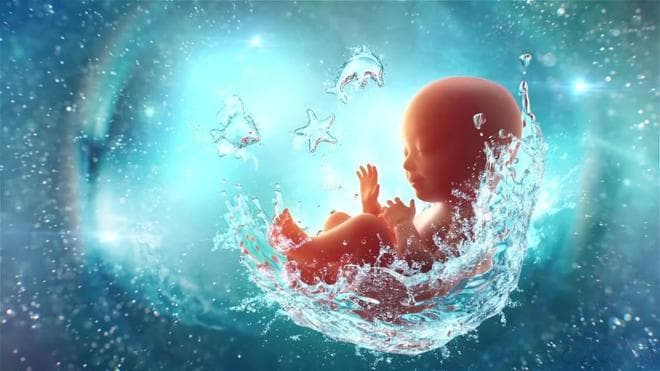 济南妇幼保健院专家解读胎心监护数据：5大关键指标全解析