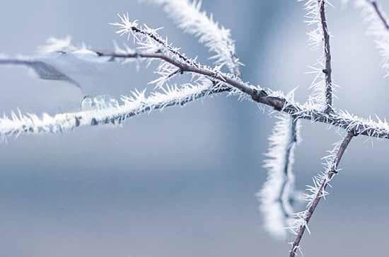 冬至：日照时间最短，寒冷天气正式登场