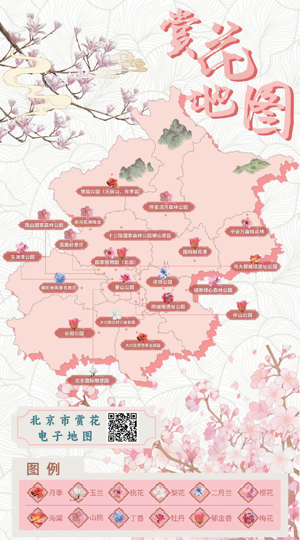 “2025花开京津冀”系列活动开启，三地联动打造春季赏花盛宴