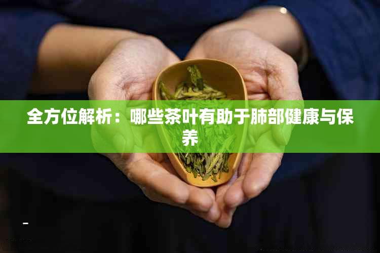 全方位解析：哪些茶叶有助于肺部健康与保养