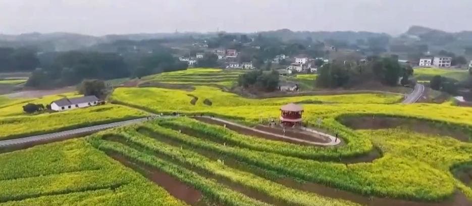“美丽花海+特色文旅”催热“家门口”农文旅融合新热潮
