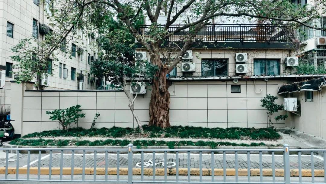“无名路”有了新名字，成为居民的“舒心路”