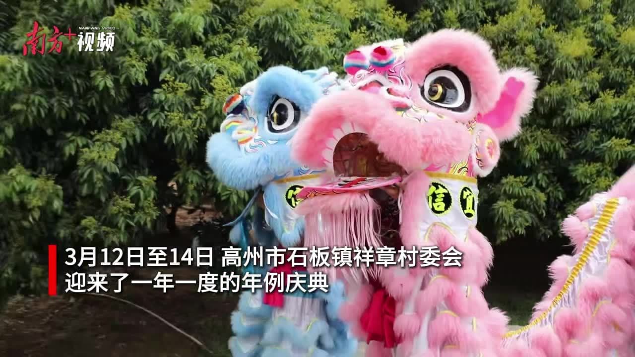赏非遗、齐种树，科技特派员团队解锁高州年例新民俗
