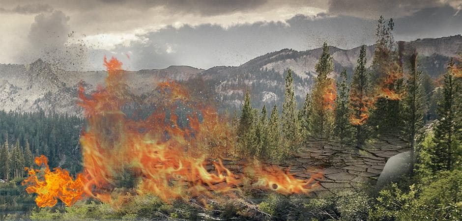 森林火灾中的“爆燃”是什么意思？爆燃和爆炸有何区别？