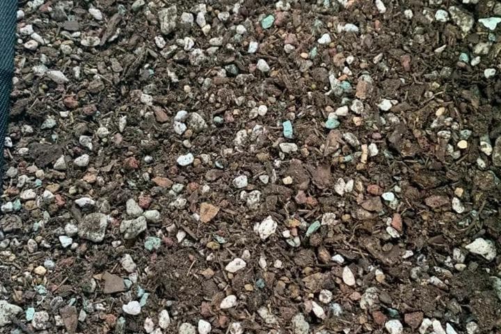 花卉种植的"土豪"配土方案：从原料到配比的全面解析