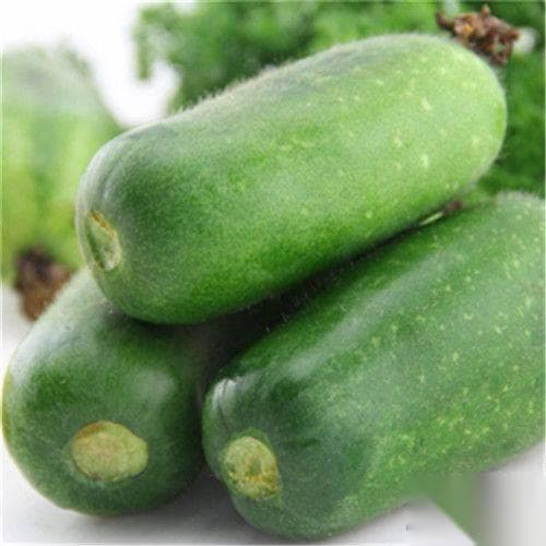 节瓜是凉性还是热性 节瓜的做法
