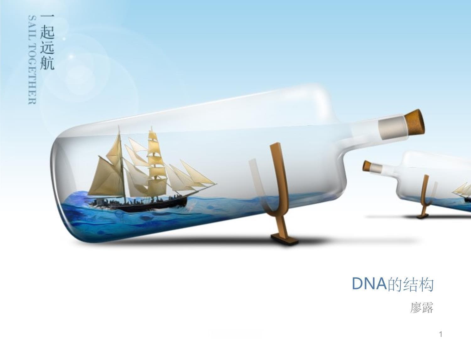 DNA的结构与功能