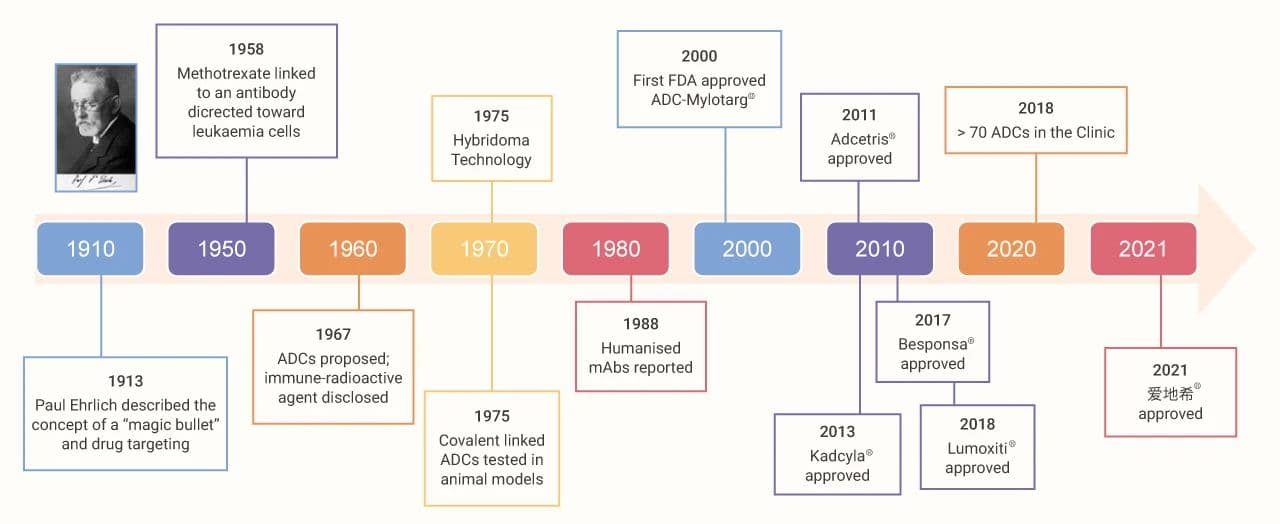 靶向抗体偶联药物 (ADC)——抗肿瘤