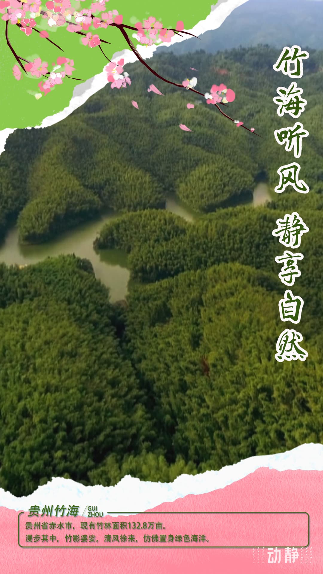100天的春季 100分的美丽丨贵州看“海”指南