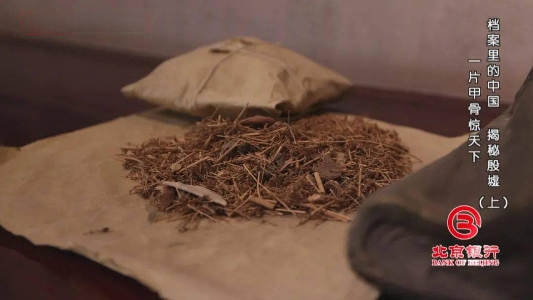 《档案》推出系列特别节目《揭秘殷墟》 与你共赴一场与商文明的千年之约