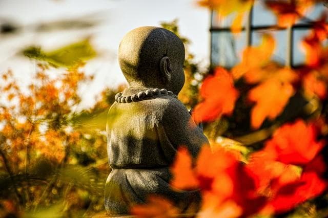梅花心易命理解析与应用指南