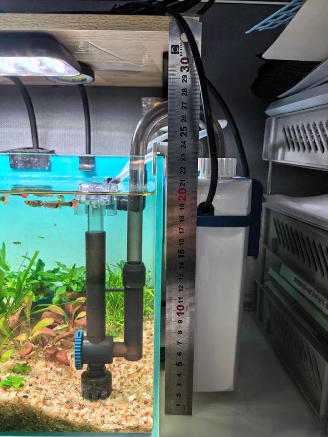 新手养鱼必看！鱼缸过滤系统避坑指南，选对滤材水质稳如老司机