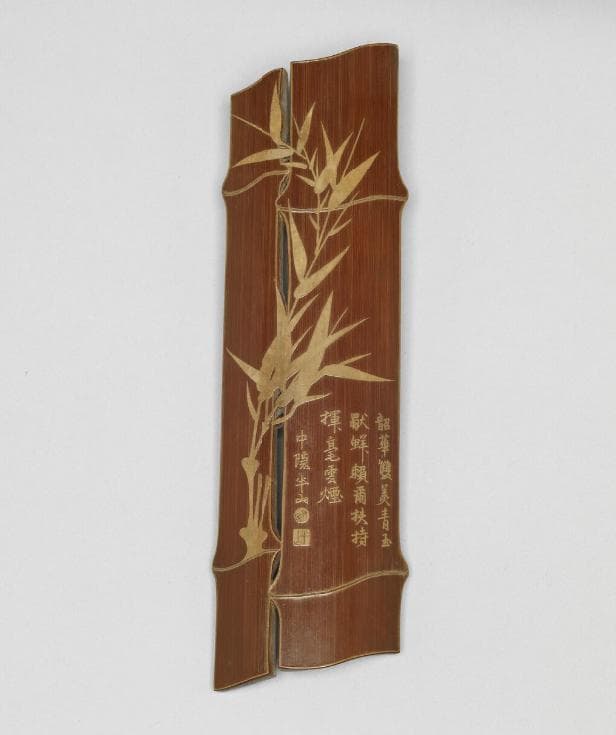 竹之美，在有“節”