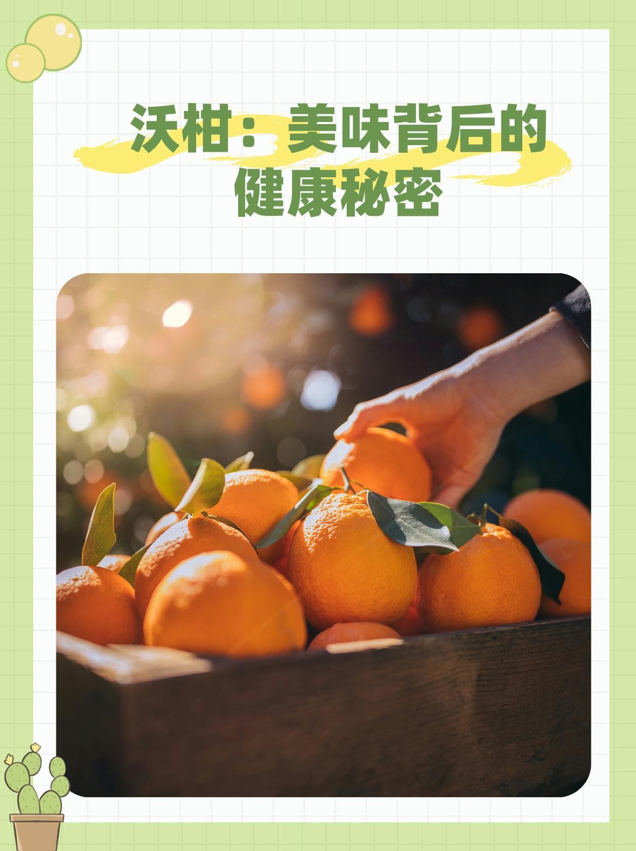 沃柑：美味背后的健康秘密