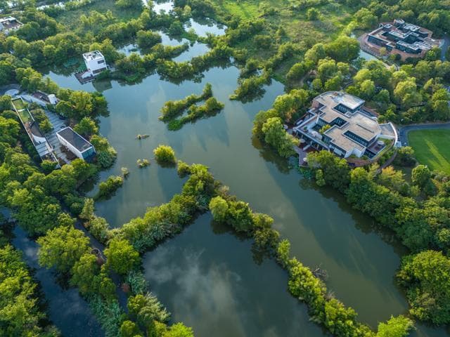 西溪湿地的生态保护为何如此成功？这片湿地的自然与人文奇观！