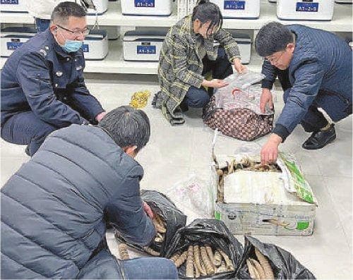 公安部督办特大野生动物制品案告破，涉案600万，12人获刑