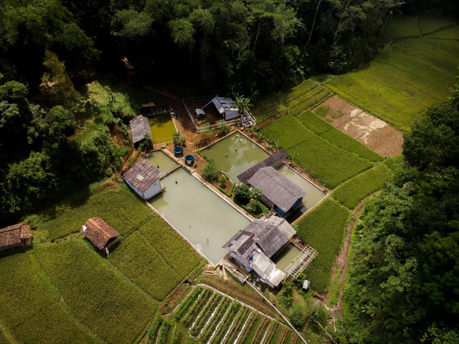 乔家枣坪村：党建引领特色产业，扬榆协作共绘和美乡村新画卷