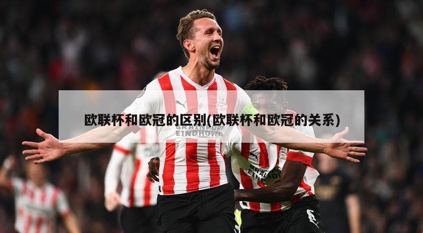 欧联杯和欧冠的区别