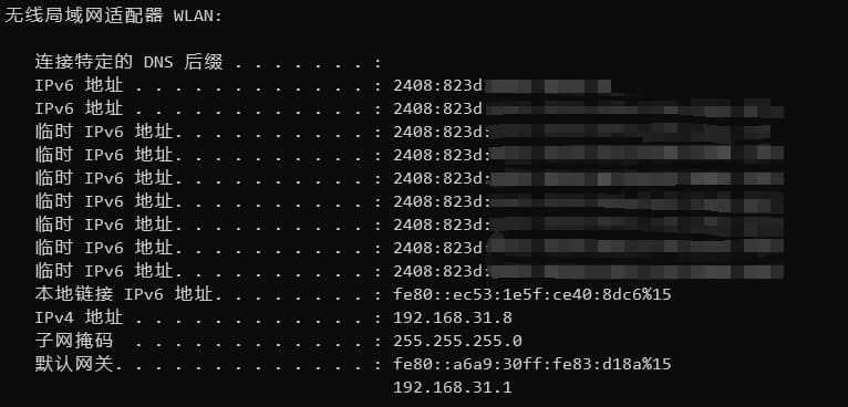 IPv6检测与地址查询 - IPv6在线测试工具