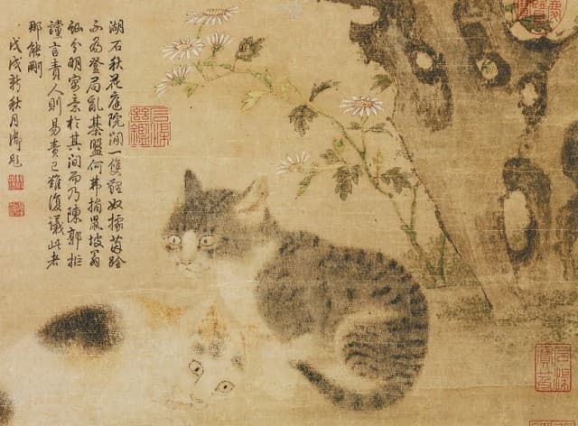 重阳赏菊正当时