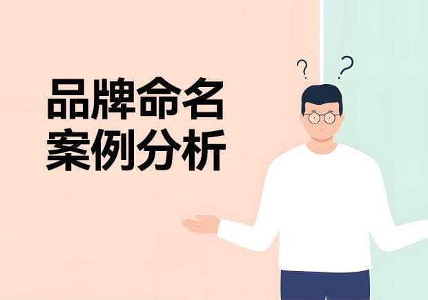 经典品牌命名案例分析：分享中外成功的品牌名称背后的商业价值与艺术魅力