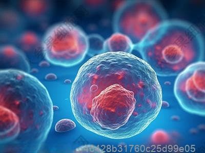 慢性萎缩性胃炎忌食清单：辛辣、高脂等十类食物