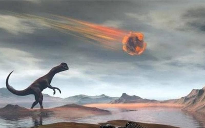恐龙灭绝之谜：小行星撞击还是火山爆发？