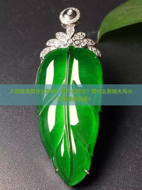 人的体温受什么影响？受什么更大？受什么影响大与小？又受哪些因素？