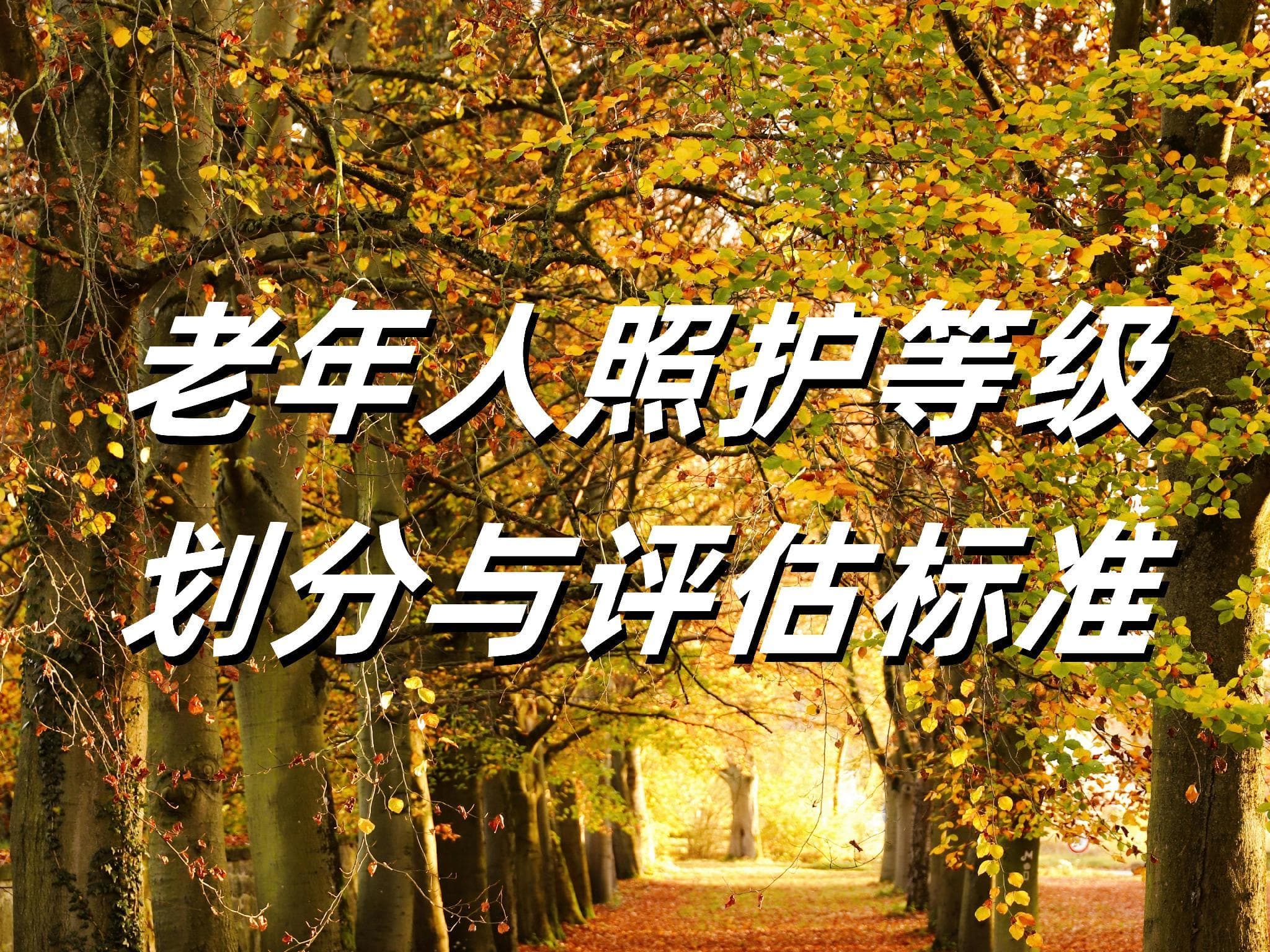 老年人照护等级划分依据是什么？